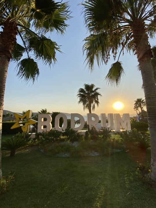 Gartenanlage TUI MAGIC LIFE Bodrum - Adult Only (16+)