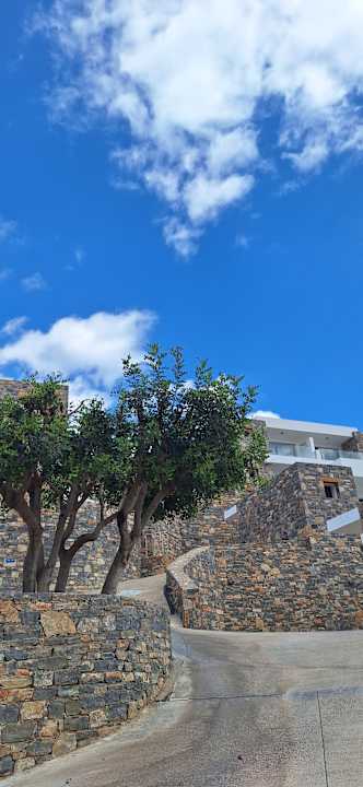 Gartenanlage Ariadne Beach Hotel