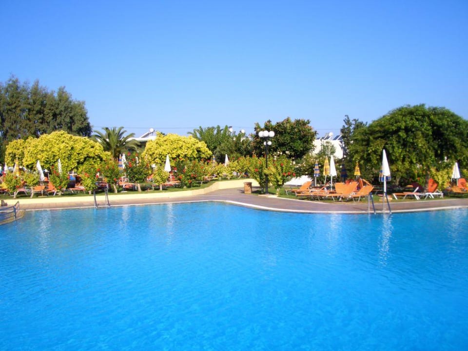 Teil der Liegewiese am Pool TUI SUNEO Chrissi Amoudia