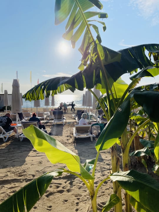 Strand Seaden Quality Resort & Spa