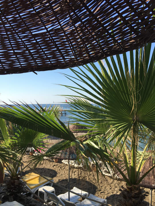 Strand Club Dizalya