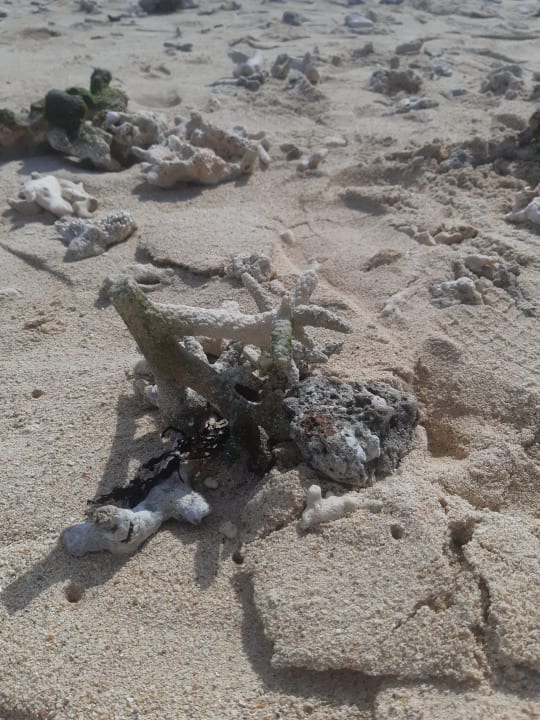 Strand Hotel Villas Caroline