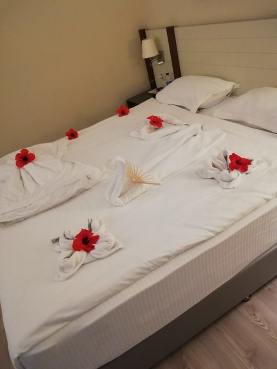 Zimmer Megasaray Club Belek