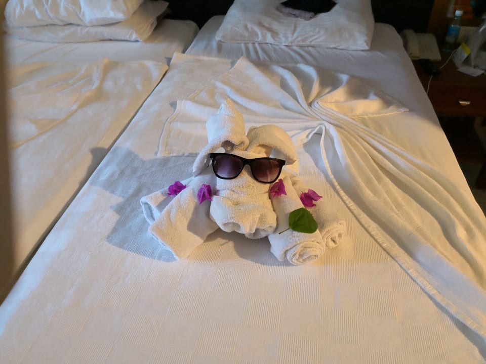 Zimmer Asteria Family Belek