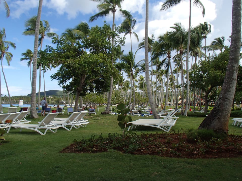Liegen des Select Bereiches  Wyndham Alltra Samana