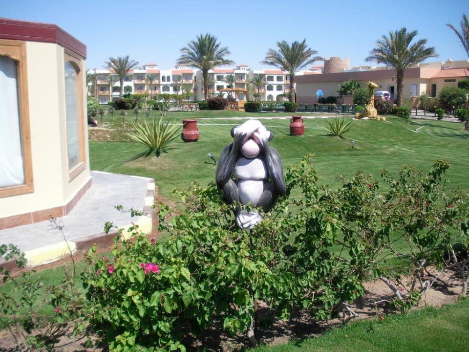 Gartenanlage Dana Beach Resort Pickalbatros Dana Beach Resort - Hurghada