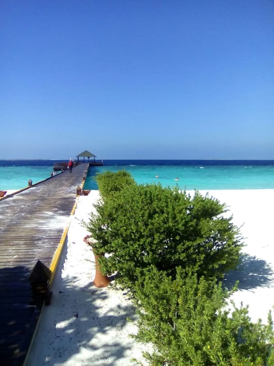 Strand Adaaran Select Meedhupparu Island Resort - Premium All Inclusive