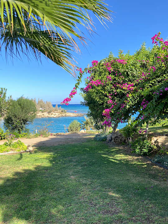 Gartenanlage Crystal Springs Beach Hotel