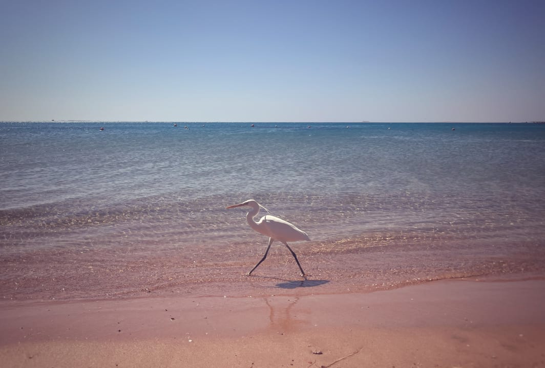 Strand Sentido Caribbean World Soma Bay