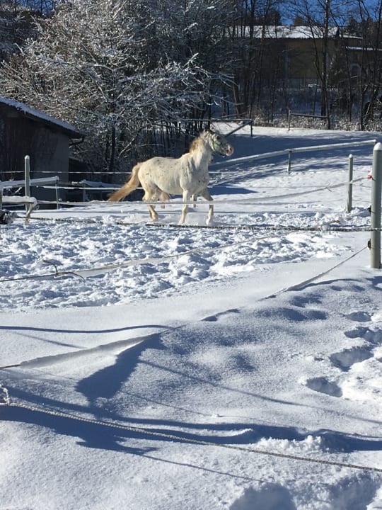 Gartenanlage Aldiana Club Ampflwang