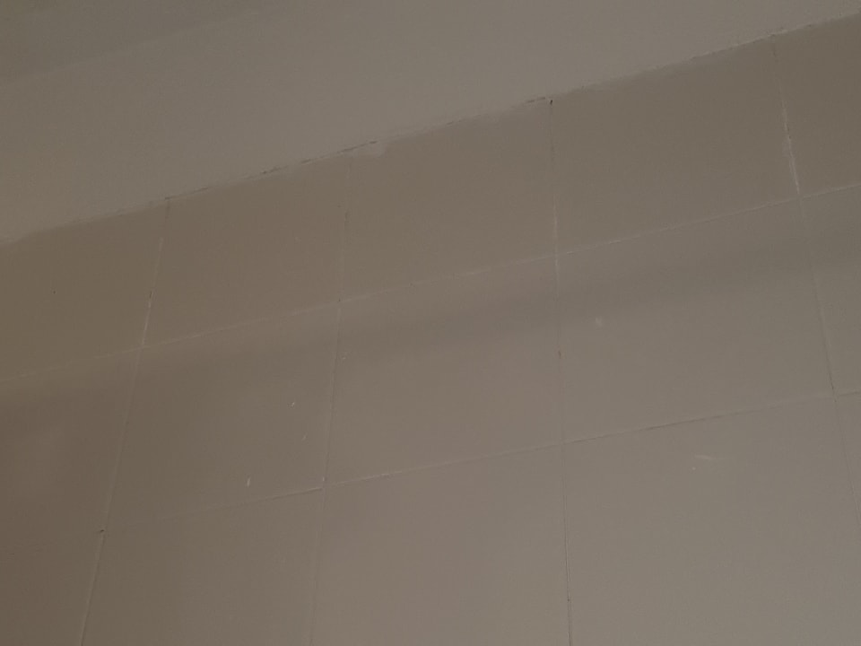 Zimmer Los Olivos Beach Resort