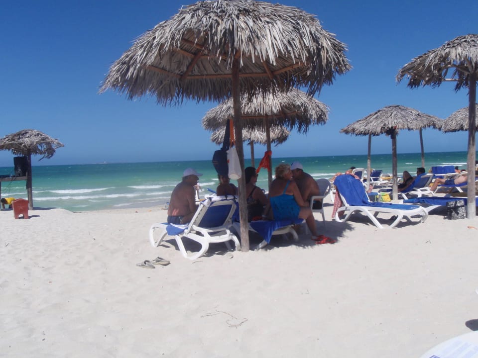 ERHOLUNG Iberostar Origin Playa Alameda