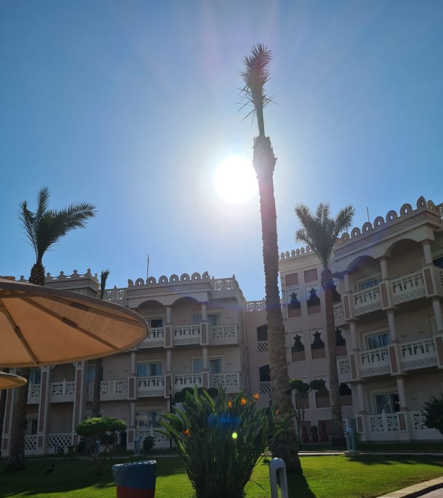 Gartenanlage Pickalbatros Palace Resort