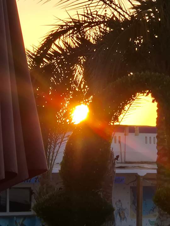 Gartenanlage Coral Sun Beach