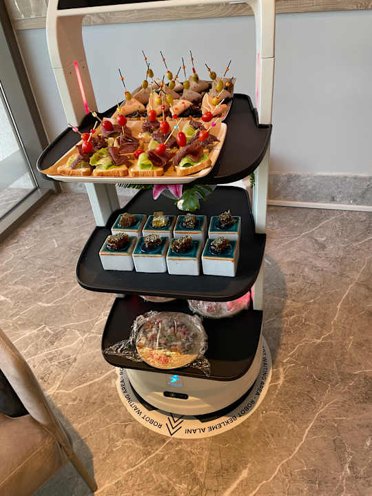 Lobby Süral Saray Hotel