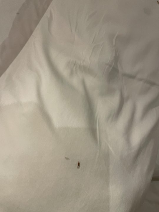 Zimmer Solana Beach Mauritius