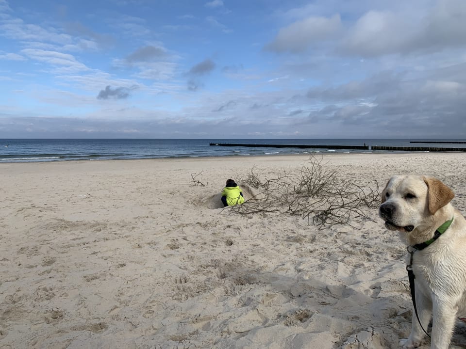 Strand Ferienanlage Vierjahreszeiten