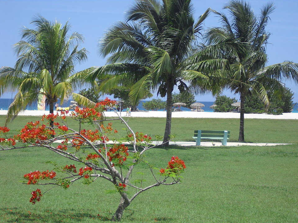 Blick zum Strand Hotel Playa Pesquero