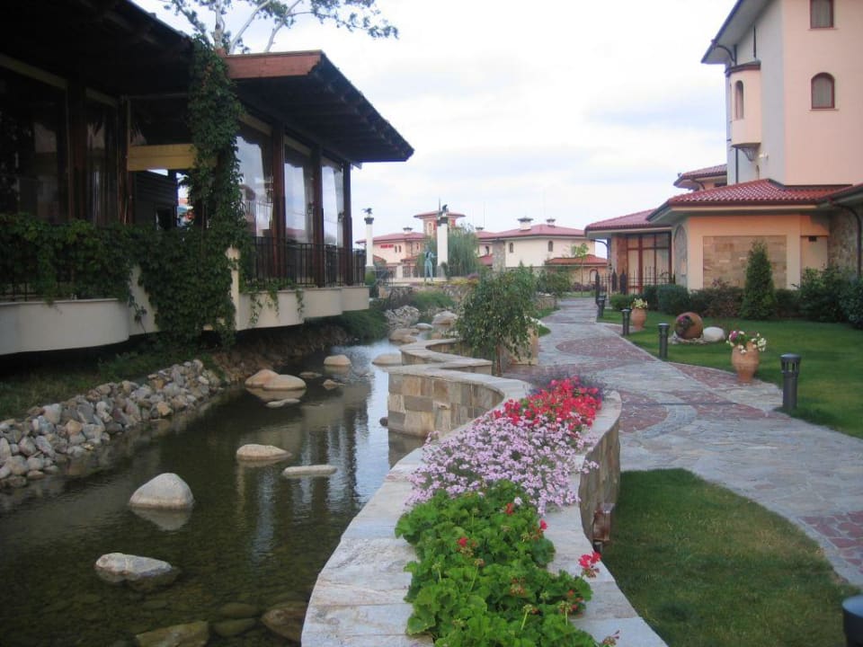 Rückseite Helena Sands