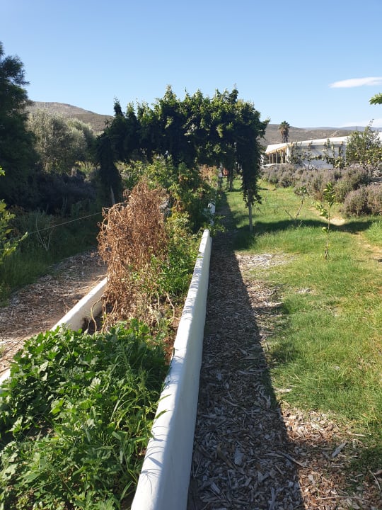 Gartenanlage Guesthouse Kogman & Keisie