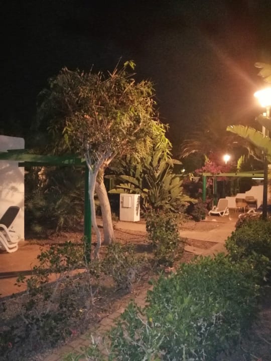 Außenansicht Bungalows Cordial Sandy Golf