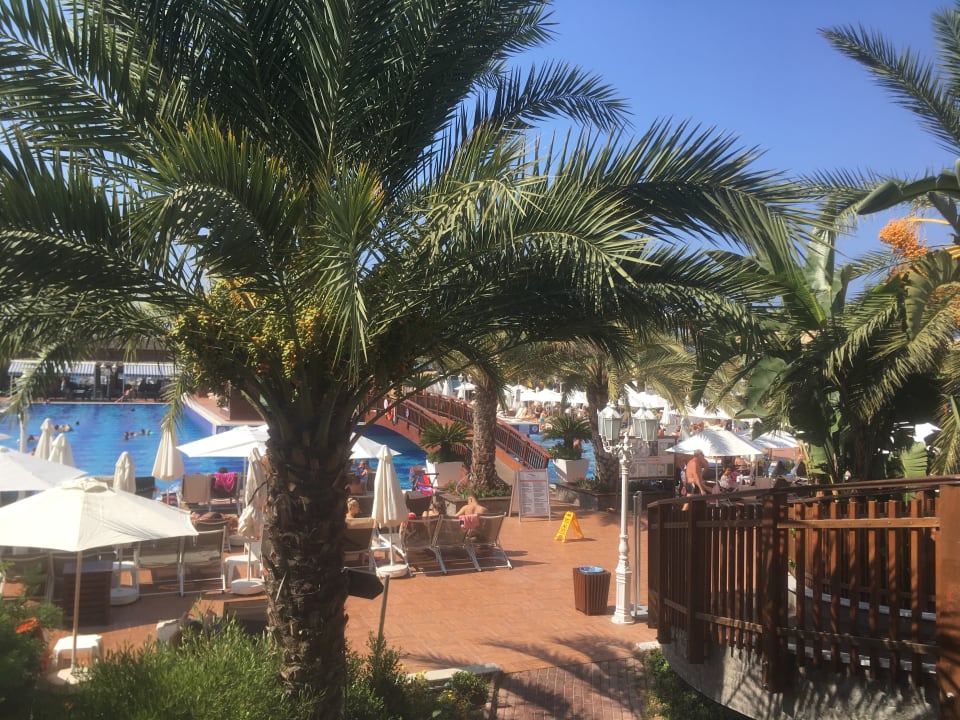 Pool Quattro Beach Spa & Resort