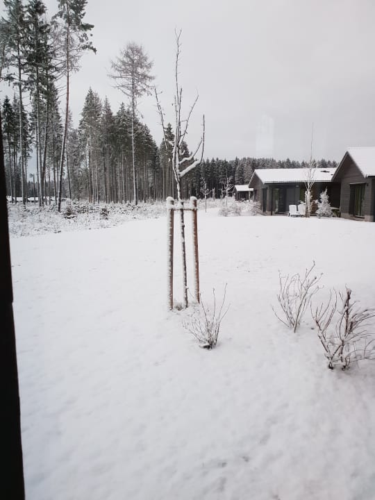 Ausblick Center Parcs Park Allgäu
