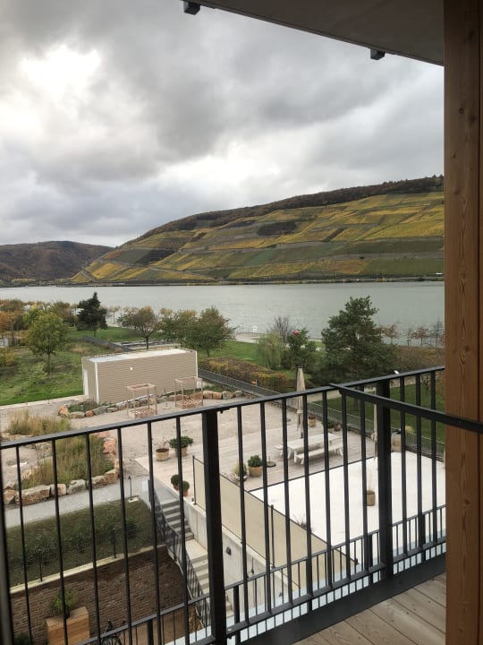 Ausblick PAPA RHEIN - Hotel & Spa