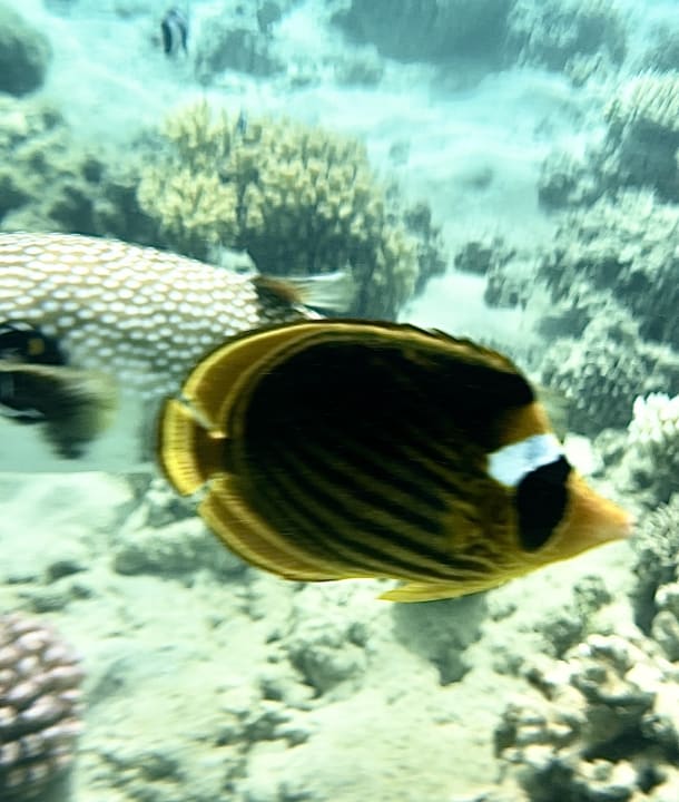 Sport & Freizeit Grand Makadi