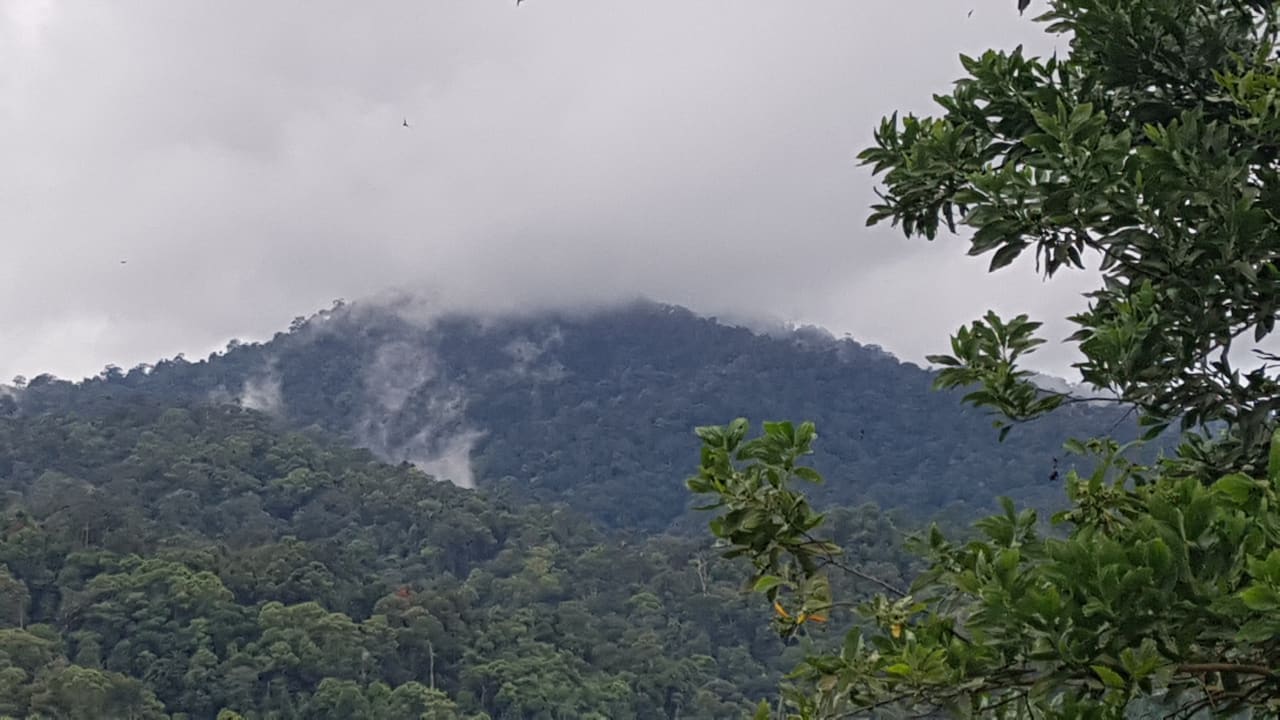 Ausblick Hotel Belum Rainforest Resort