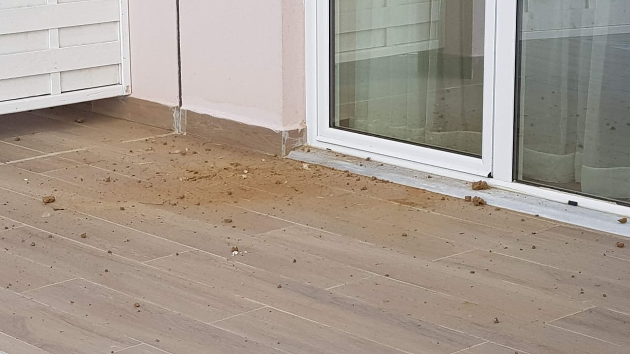 Herunter gefallenes Nest Sandy Villas Resort