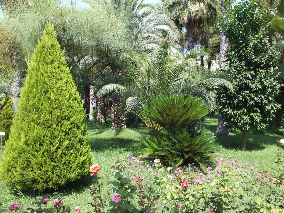 Traum Botanik Hotel & Resort
