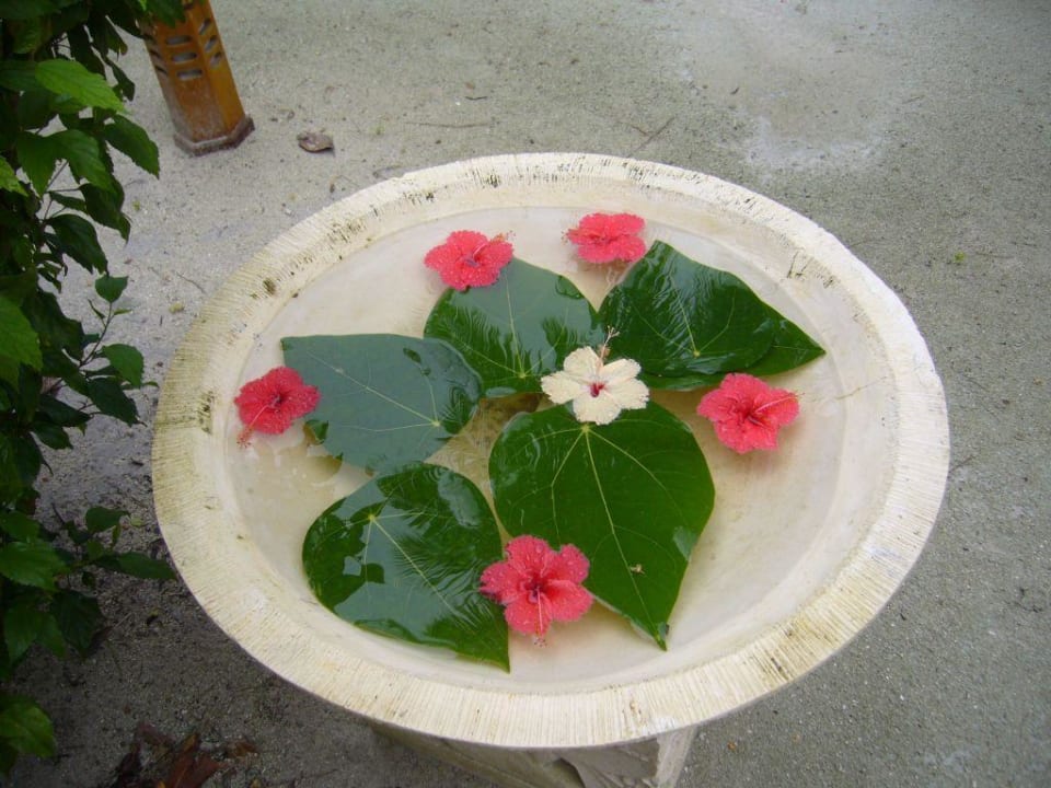 Im Duniye Spa Meeru Maldives Resort Island