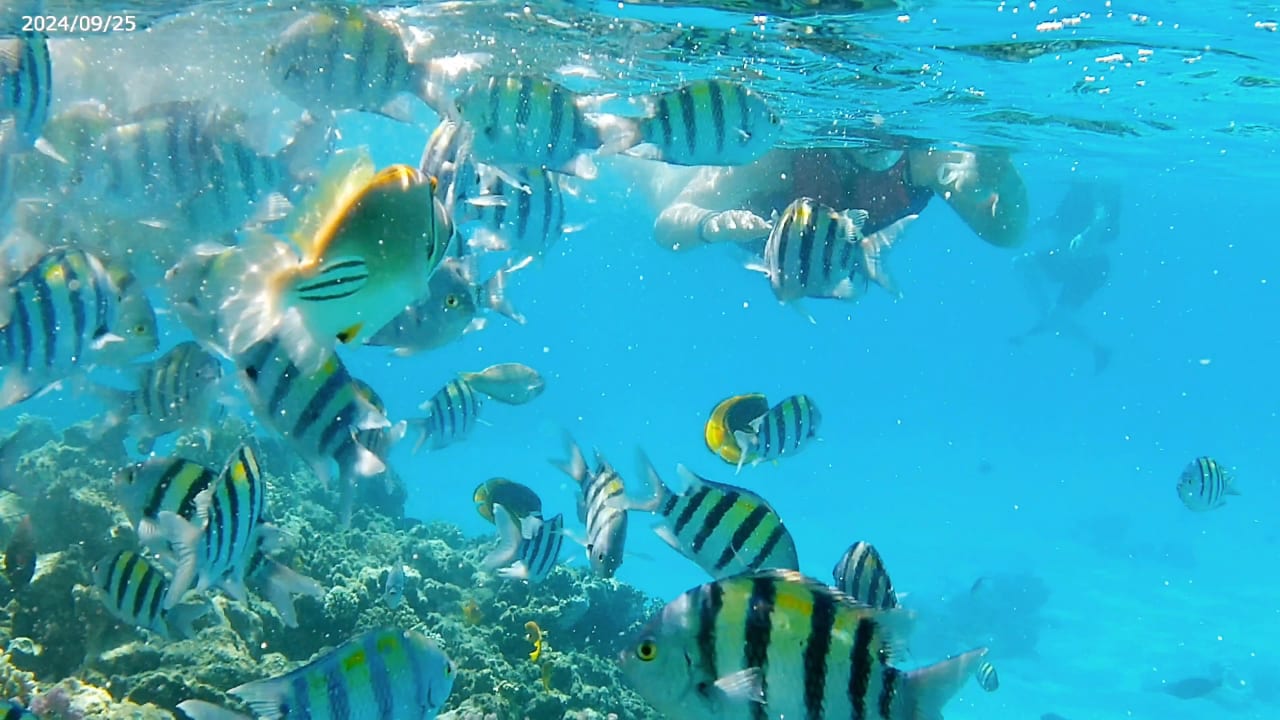 Sport & Freizeit Cleopatra Luxury Resort Makadi Bay