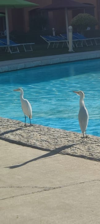 Pool Titanic Beach Spa & Aqua Park