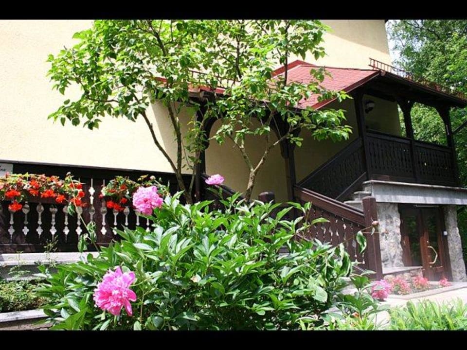 Willa Elżbieta Willa Elżbieta