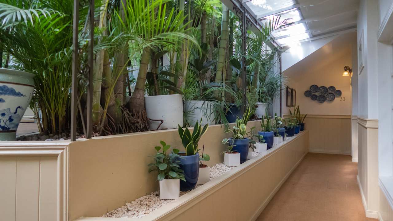 Sonstiges Hotel Grano de Oro