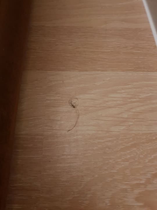 Zimmer Hane Family Resort