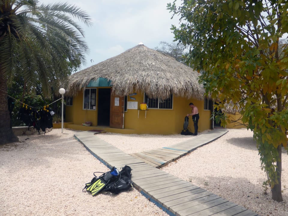 Duikbasis Hilton Dreams Curacao Resort, Spa & Casino