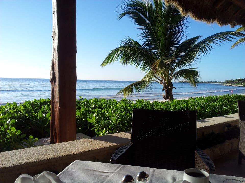 Gastro Akumal Bay Beach & Wellness Resort