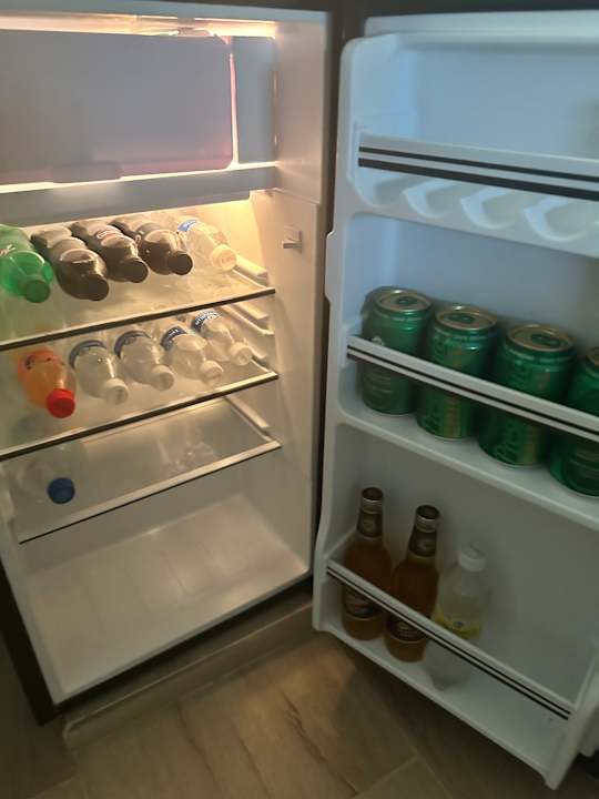 Zimmer Hotel Riu Palace Bavaro