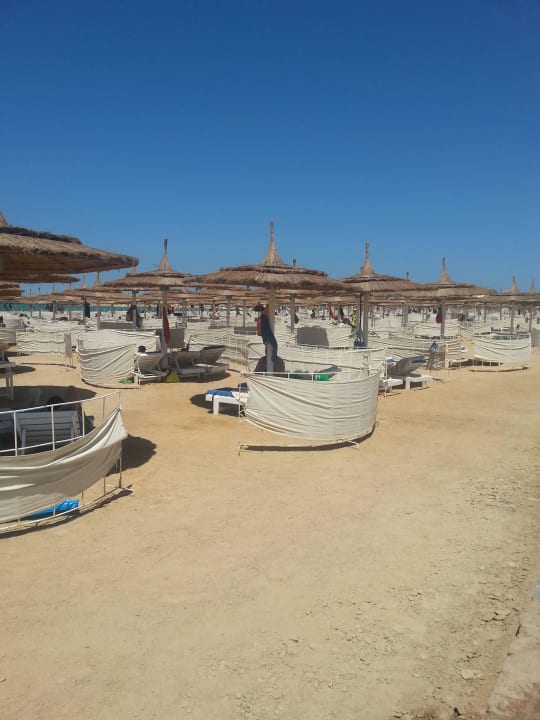 Bild Pickalbatros Dana Beach Resort - Hurghada