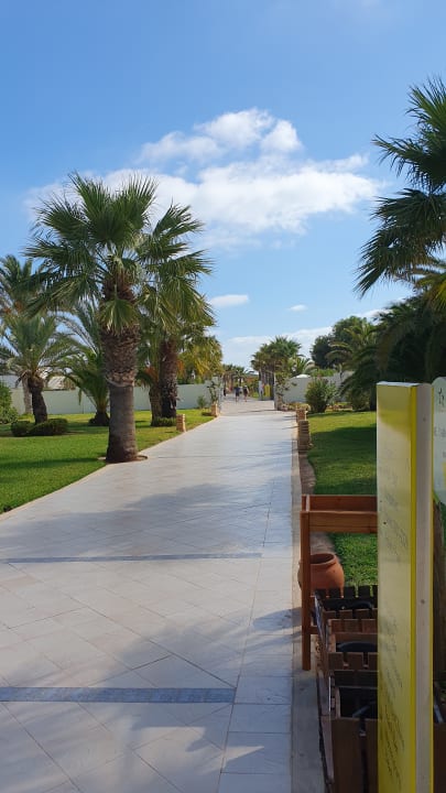 Gartenanlage TUI MAGIC LIFE Penelope Beach