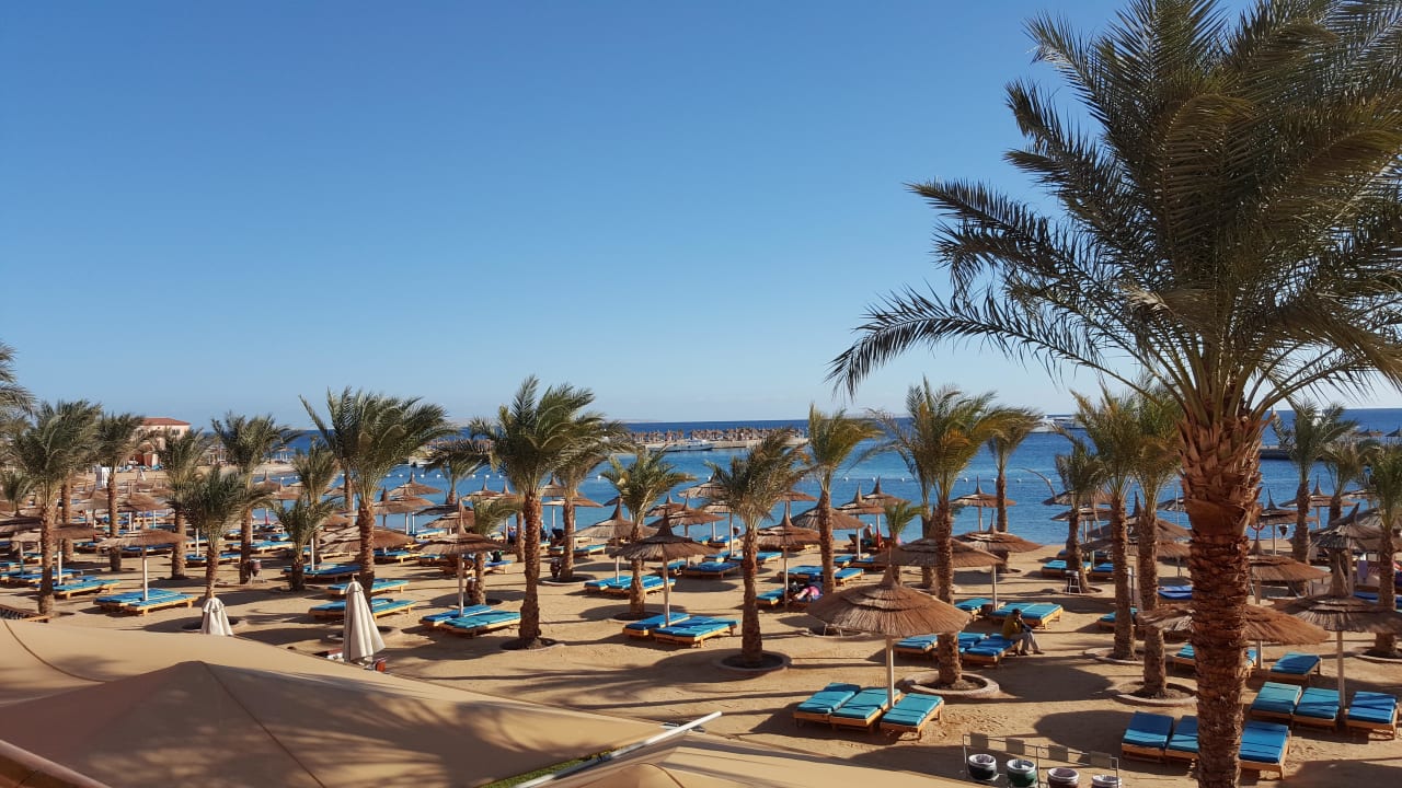 Schöner Strand  Beach Albatros Resort