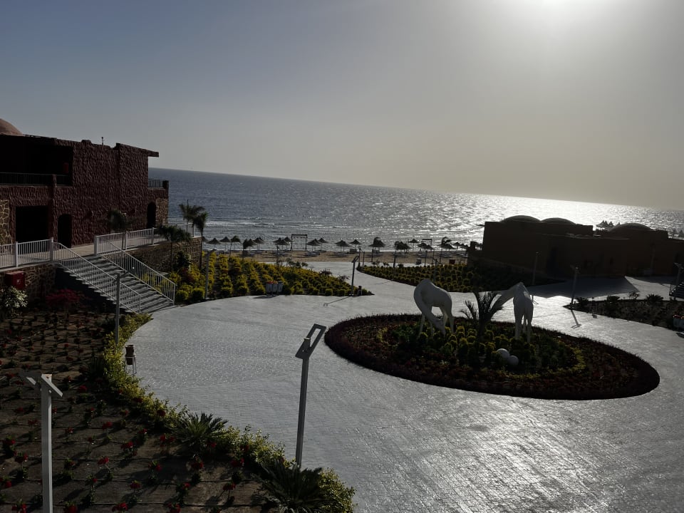 Gartenanlage Pickalbatros Vita Resort - Portofino Marsa Alam