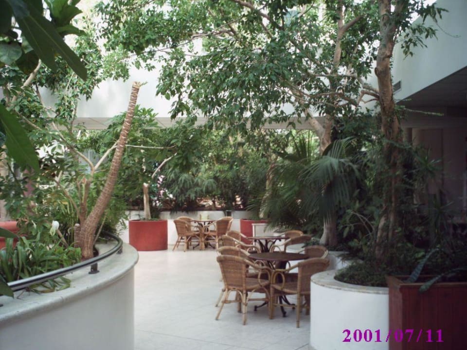 Im Marketdom Center Parcs Park Zandvoort - Strandhotel