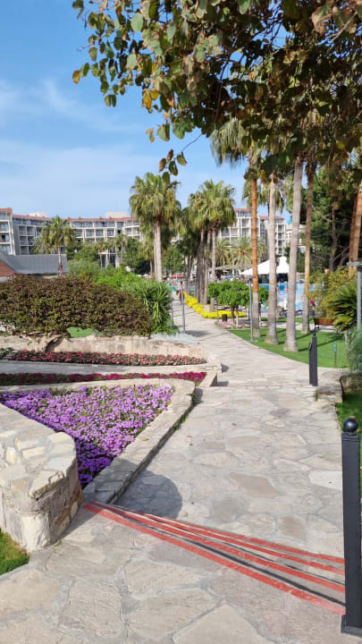 Strand Arum Barut Collection