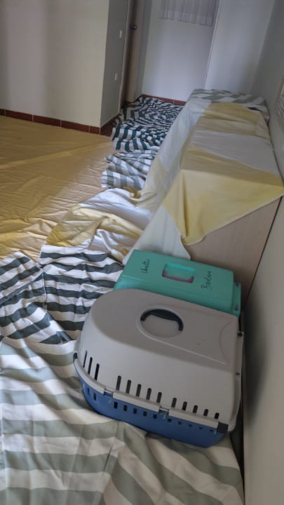 Sonstiges Hotel Gardenia Beach