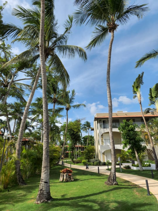 Gartenanlage Catalonia Royal La Romana - Adults only