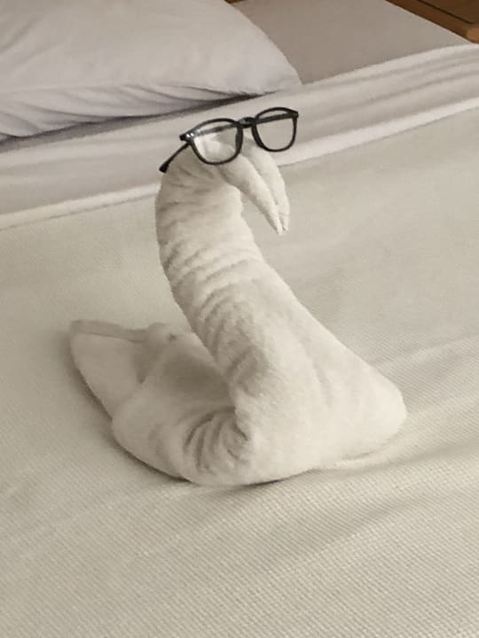 Zimmer Menaville Safaga